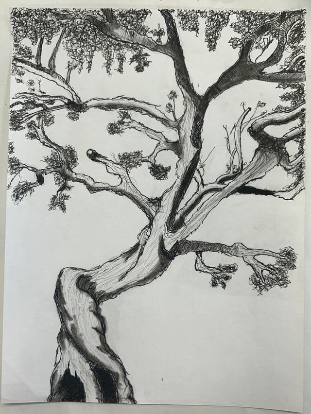 Tree, ink, line art study